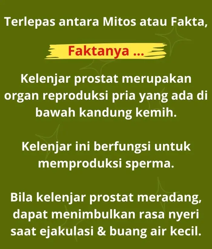 distributor prostanore