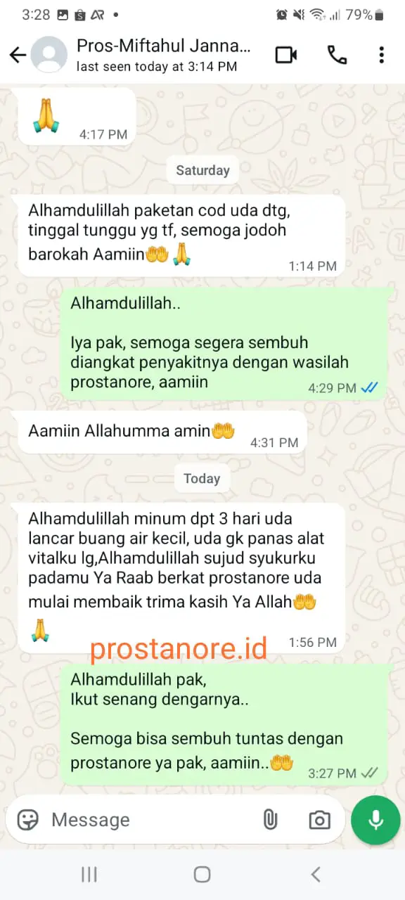 testimoni prostanore asli
